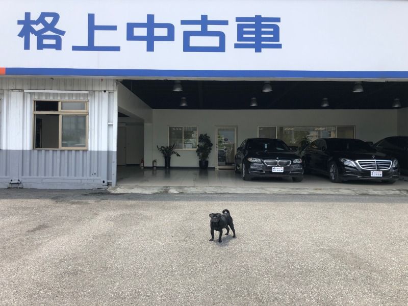 一手中古車 81中古車