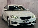 總代理BMW 220i  M Sport 低里...