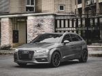 繽樂汽車 2013/14 Audi A3 30TFSI 1.4T