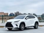 2019 Lexus NX300 豪華版 低里程 認證車 氣氛棒