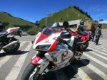 Honda CBR 600RR  車況佳/特殊配色/新北可看車