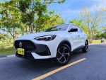 360環景 Apple CarPlay 電動尾門 ACC跟車 盲點(GOO認証)