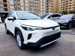 實車在店．全新車未開封．全程托運到店．新車里程3公里．大電池八年１６萬公里保固