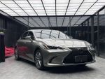 頂級版，有電動天窗、Acc跟車、...