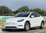 秒殺貨.. 挑戰最便宜Model Y LR長程版
