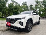 1.6 TUCSON L 渦輪 油電 C款 ...