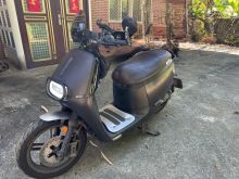  2019 Gogoro S2 Café Racer 時尚出售中 價格好談