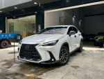 銓鎰汽車 2022 LEXUS NX200 豪...