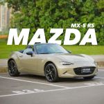 原廠色鋯石棕。機油，變速箱，差速器油，來令片全部換新