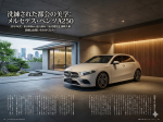 Mercedes-Benz/賓士