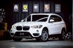 2019年出廠BMW X1 20i國產車的...