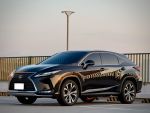 2021 Lexus RX300 頂級版 里程...