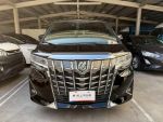 Toyota ALPHARD  2021款 2.5油...
