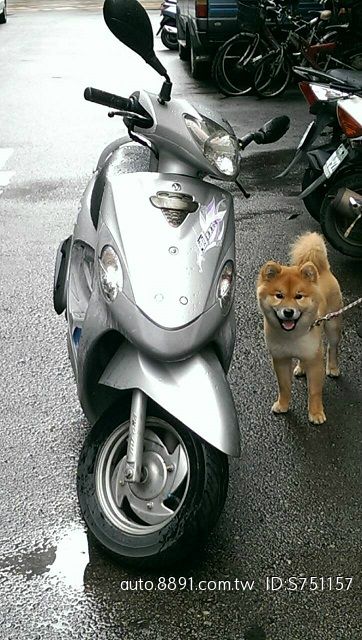 -封面